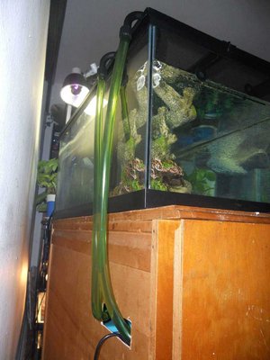 DSCN1685.jpg