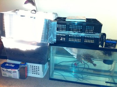 setup3.jpg