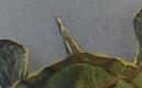 IMG_20111220_202025-1.jpg