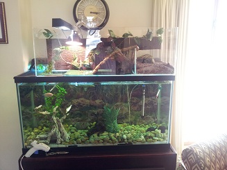 Whole Setup.jpg