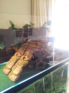 Nesting Ramp.jpg
