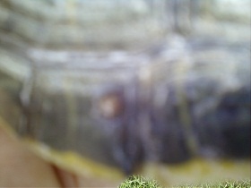 1010101352-01.jpg