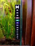 thermometer.jpg