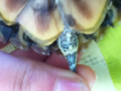 image.jpeg (238.58 KiB) Viewed 5181 times image.jpeg
