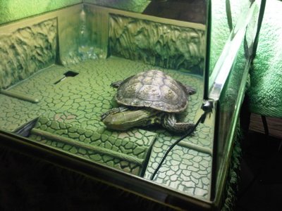 IMG00439.jpg