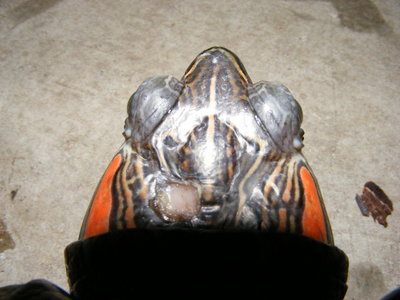 DSCF6001.JPG
