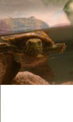 IMAG0116.jpg