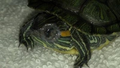 2012-07-05_07-26-24_46.jpg