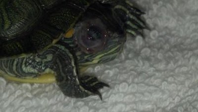2012-07-05_07-26-41_501.jpg