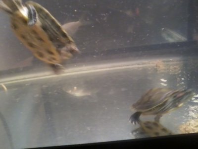 0819120751c.jpg