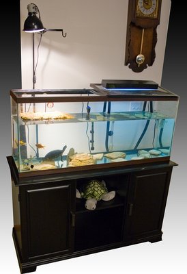 Tank Setup.jpg