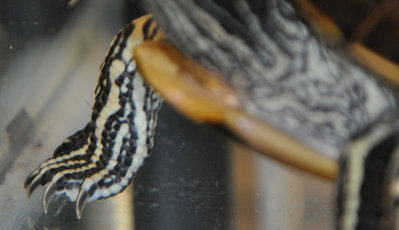 20120906-DSC_0004-2.jpg