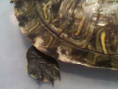 0920121823a.jpg