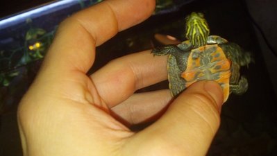 2012-10-04_19-44-26_623.jpg