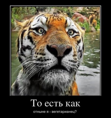 7786-59.jpg