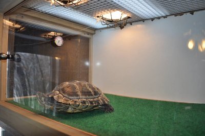 front shell 2-27-13 (2).JPG