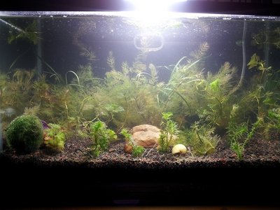 2011-07-25 20.37.29.jpg