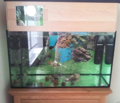 20130429_183018-1.jpg