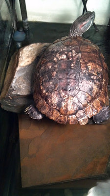 2013-05-04_12-08-19_696.jpg