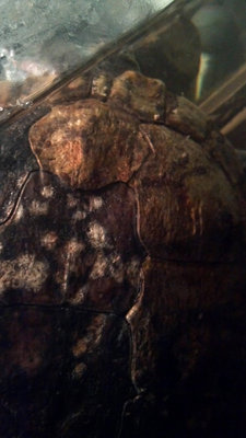 2013-05-04_17-35-24_545.jpg