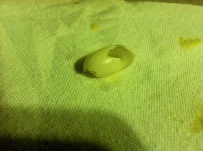 Egg2.jpg