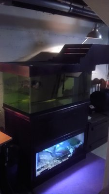 IMAG0284.jpg