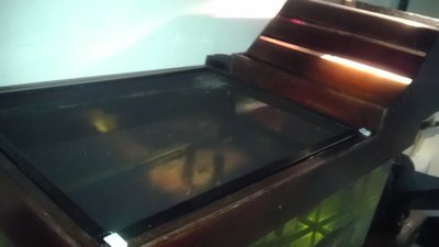 IMAG0290.jpg