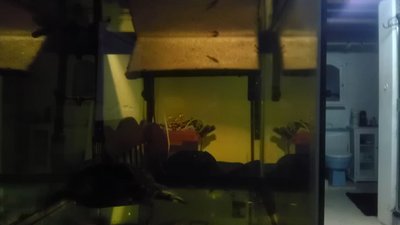 IMAG0293.jpg