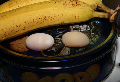 2x-eggs.jpg