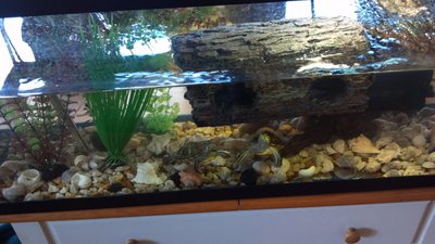 2013-06-21_11-31-13_725.jpg
