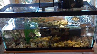 2013-06-21_11-31-25_198.jpg
