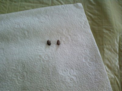 0708101641-00.jpg