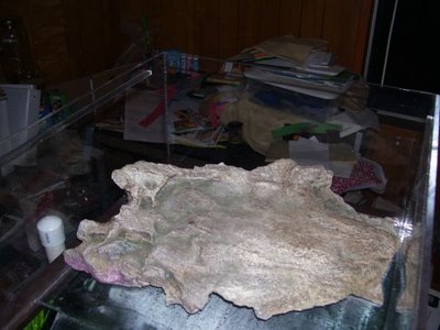 100_6377.JPG