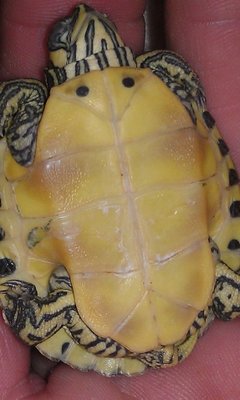 100MEDIA$IMAG0136.jpg