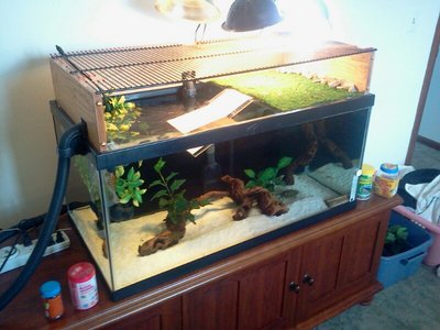2013-03-03 10.36.42.jpg