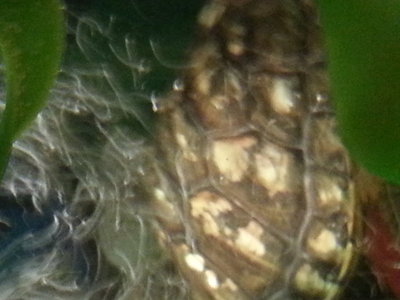 rsz_1120131102_181304.jpg