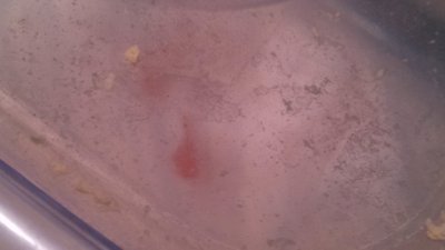 IMG_20131231_182525_255.jpg