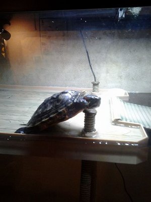 IMG_24237681433701.jpeg