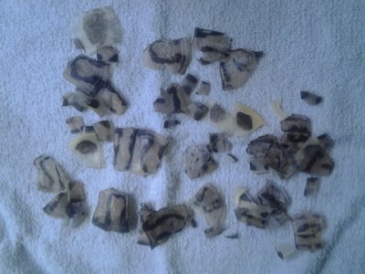20140206_221521.jpg