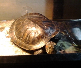 20140215_191226-1.jpg