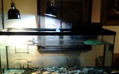 20140215_191234-1.jpg
