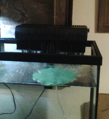 20140215_191244-1.jpg