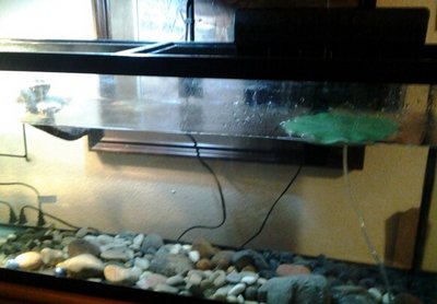 20140215_191249-1.jpg