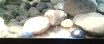 20140215_191512-1.jpg