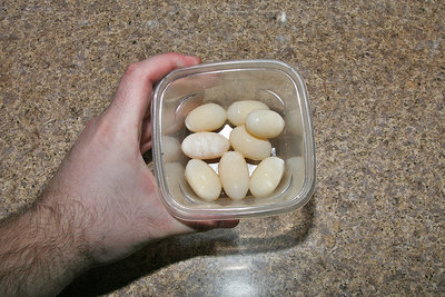 8Eggs.jpg