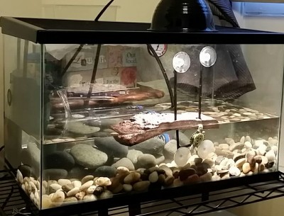 sammy house.jpeg