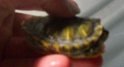 100_0732.JPG