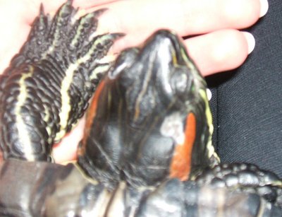DSCF8445.JPG