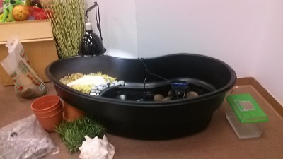 habitat.jpg