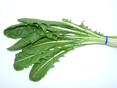 Dandelion.png